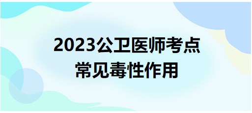 常见毒性作用-2023公卫执业医师考生每日速记高分知识点