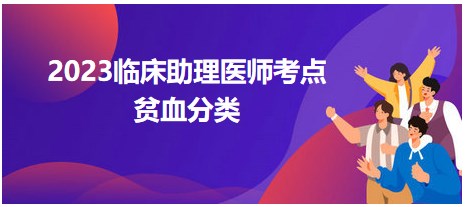 2023临床助理医师高频知识点速记+命题练习：贫血分类