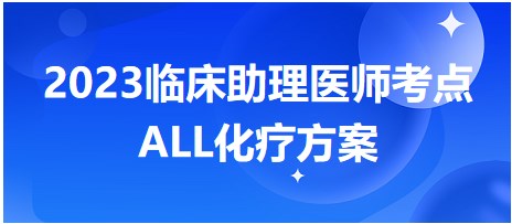 2023临床助理医师考前冲刺每日拿分考点速记：ALL化疗方案