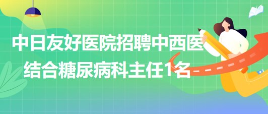 北京市中日友好医院2023年招聘中西医结合糖尿病科主任1名