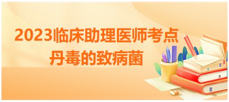 2023临床助理医师笔试冲刺每日实战练习：丹毒的致病菌