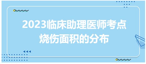 烧伤面积的分布