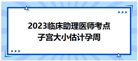 子宫大小估计孕周-2023临床助理医师易混淆考点表格速记法