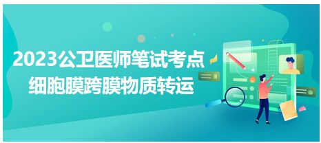 2023公卫执业医师考生拿分高频考点小结：细胞膜跨膜物质转运