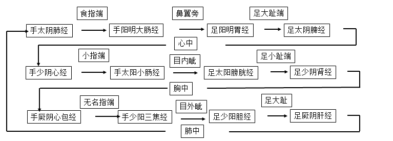 问题 十二经脉的流注次序是怎样的呢?