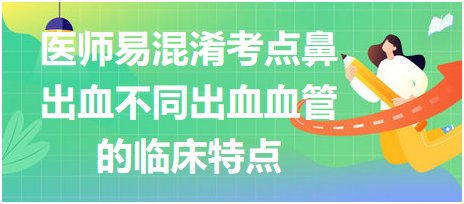 2023乡村助理医师易混淆考点鼻出血不同出血血管的临床特点