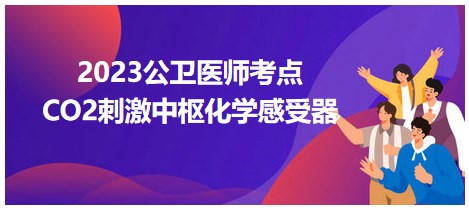 考点回顾 | 2023年公卫医师笔试考点：CO2刺激中枢化学感受器