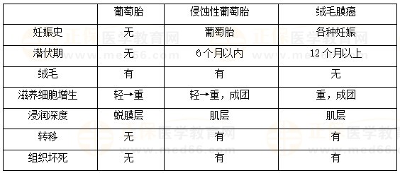 【临床】2023医疗招聘备考资料：高频考点（9.1）