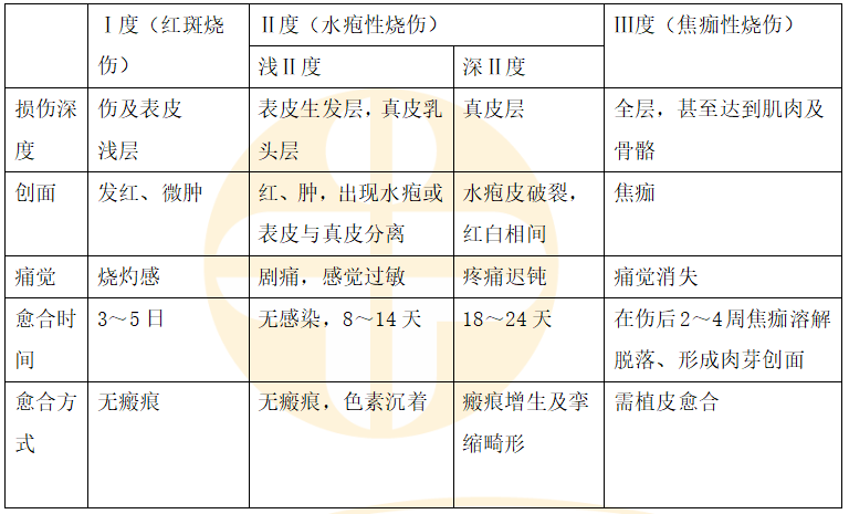 2024乡村助理医师每天一个知识点：烧伤深度的识别