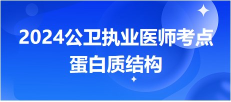 2024公卫执业医师考试大纲知识点<蛋白质结构>总结