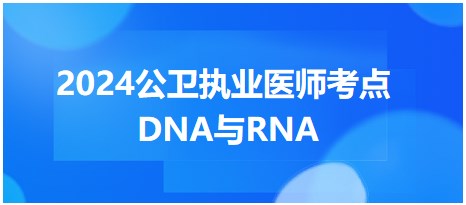 DNA与RNA