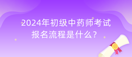 2024年初级中药师考试报名流程是什么？