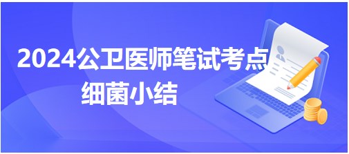 细菌-2024年公卫执业医师考试拿分知识点小结速记