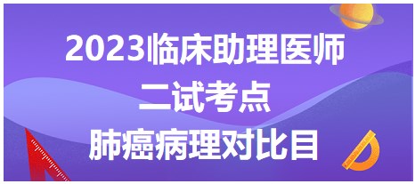 2023临床助理医师二试考生速记拿分知识点：肺癌病理对比