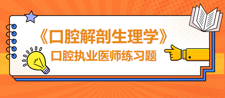 2024年口腔执业笔试《口腔解剖生理学》练习题汇总