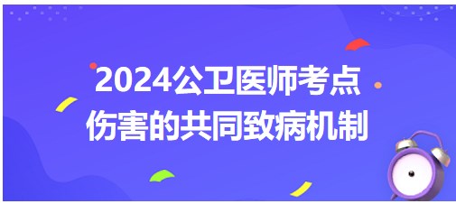 2024年公卫执业医师考点<伤害的共同致病机制>小结+练习