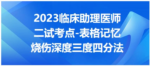 烧伤深度三度四分法-2023临床助理医师二试考点预测