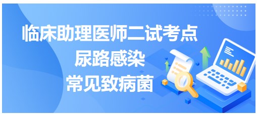 2023临床助理医师二试冲刺每日考点打卡：尿路感染常见致病菌