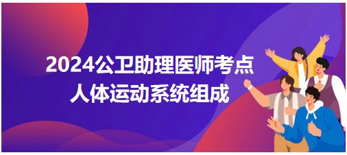 2024年公卫助理医师考点<人体运动系统组成>小结&练习