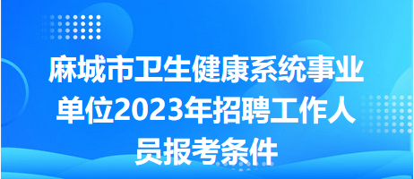 报考条件