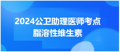 脂溶性维生素-2024年公卫助理医师考点小结&练习