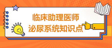 肾病综合征的诊断——临床助理医师泌尿系统知识点