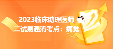 痛觉-2023临床助理医师二试考点速记