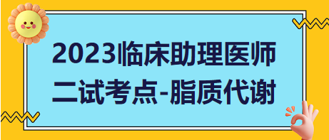 脂质代谢-2023临床助理医师二试冲刺必背考点