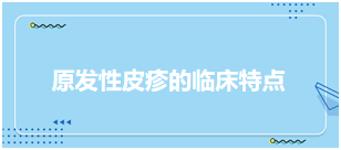 原发性皮疹的临床特点-2024乡村全科助理医师备考知识点+例题