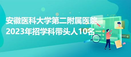 安徽医科大学第二附属医院2023年招学科带头人10名