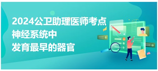 神经系统中发育最早的器官是？2024公卫助理医师每日小结