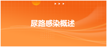 2024乡村全科助理医师笔试考练习题—尿路感染概述