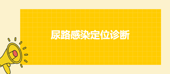 尿路感染定位诊断—2024乡村全科助理医师考点速记+例题