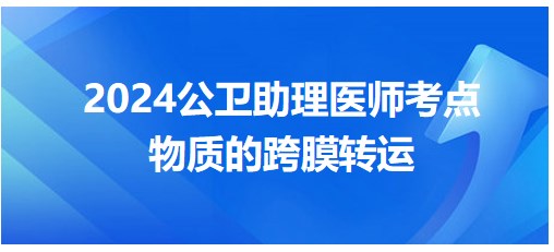 物质的跨膜转运-2024公卫助理医师考纲知识点小结&练习