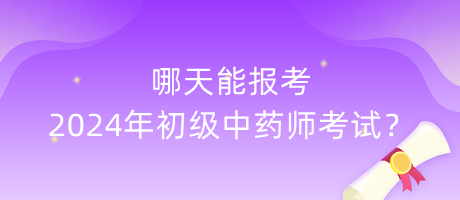 哪天能报考2024年初级中药师考试？