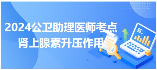 2024公卫助理医师考点速记&练习：肾上腺素升压作用