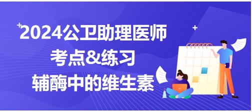 2024公卫助理医师考纲知识点速记&练习：辅酶中含有的维生素