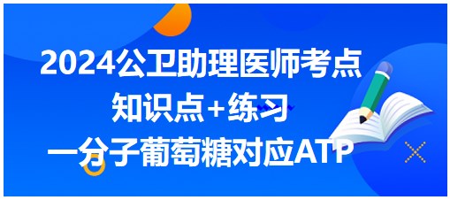 一分子葡萄糖对应ATP-2024公卫助理医师知识点小结&练习