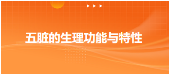 2024中医执业医师重要考点梳理必背：五脏的生理功能与特性