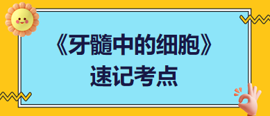 《牙髓中的细胞》速记考点