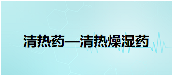 2024中医执业医师拿分必背考点&模拟练习：清热药—清热燥湿药