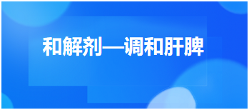 2024中医执业医师拿分必背考点&模拟练习：和解剂—调和肝脾