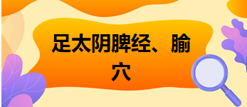 2024中医执业医师拿分必背考点&模拟练习：足太阴脾经、腧穴