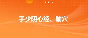 2024中医执业医师备考考场常考考点速记&模拟练习：手少阴心经、腧穴