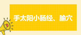 2024中医执业医师考试备考考点点拨&例题：手太阳小肠经、腧穴