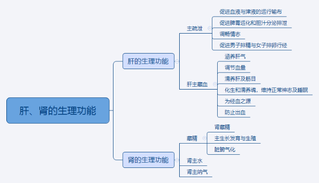 2024中医执业医师考试重点知识点思维导图—肝、肾的生理功能