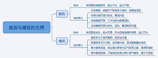 2024中医执业医师考试重点知识点思维导图—腻苔与腐苔的主病