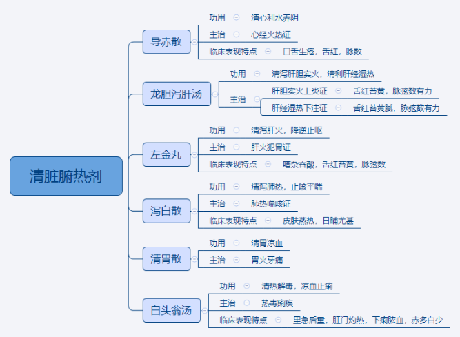 2024中医执业医师重点知识点<方剂学>思维导图—清脏腑热剂