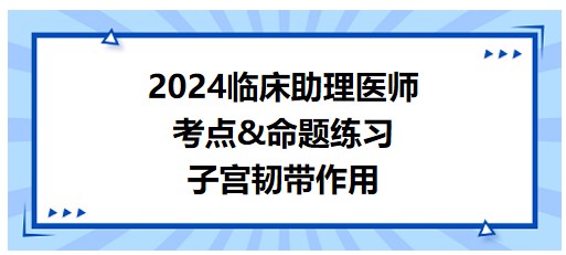 2024临床助理医师考生每日考点备考&练习：子宫韧带作用