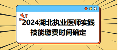 2024年3月23日湖北将进行中西医助理医师实践技能考试缴费